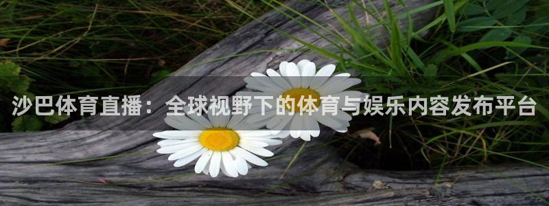 nba直播比赛观看乐球：沙巴体育直播：全球视野下的体育与娱乐内容发布平台