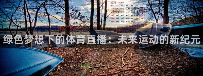 乐球直播在线免费观看：绿色梦想下的体育直播：未来运动的新纪元