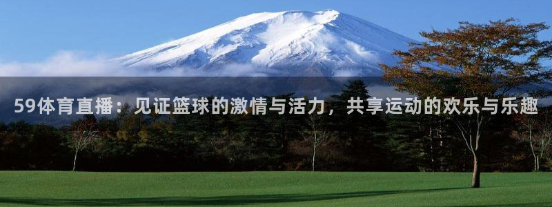 乐球足球直播在线观看免费：59体育直播：见证篮球的激情与活力，共享运动的欢乐与乐趣